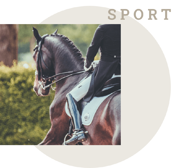 einsatzgebiet sport derby einsatzgebiet sport derby
